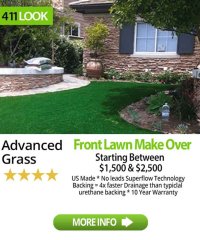 Advanced Grass
