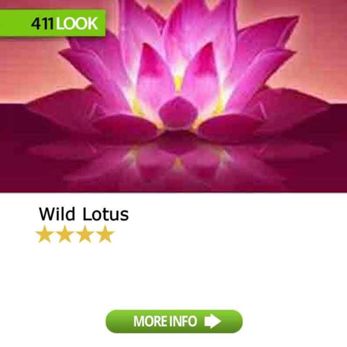 Wild Lotus