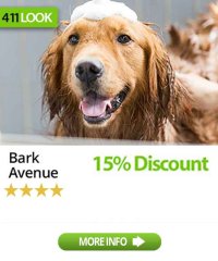 Bark Avenue