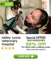 Valley Lyons Veterinary Hospital